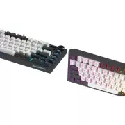 GamePro Asgard Valhalla Pro Rainy Switch Bluetooth/2.4G/USB USB White with display (MK160W-D-Pro) (UA)