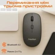 Meetion BTM100 Wireless/Bluetooth/USB Black (MT-BTM100-A) (UA)
