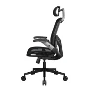 Cougar Speeder One Black (Speeder One) (UA)