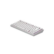 Dark Project ALU81 Terra Nostra PBT RGB Mech G3MS Moonstone White (DPKB_NOSTRA_81_ANSI_WHITE_UA) (UA)