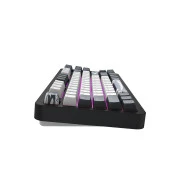 Dark Project ALU87 Bushido ABS RGB Mech G3MS Moonstone Black/White (DPKB_BUSHIDO_87_ANSI_UA) (UA)