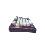 Dark Project ALU87 Celestial ABS RGB Mech G3MS Voidstone USB Violet (DPKB_VIOLET_87_ANSI_UA) (UA)