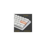 Ducky One 3 Mini Cherry MX Brown RGB UA USB White (DKON2161ST-BUAPXPWWWSC1) (UA)