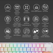 Ducky One 3 Mini Cherry MX Red RGB UA USB White (DKON2161ST-RUAPXPWWWSC1) (UA)