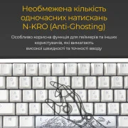 Ducky One 3 Mini Cherry MX Red RGB UA USB White (DKON2161ST-RUAPXPWWWSC1) (UA)