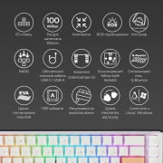 Ducky One 3 SF Cherry MX Red RGB UA USB White (DKON2167ST-RUAPXPWWWSC1) (UA)