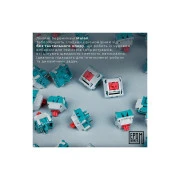 Epomaker Shadow-S TKL Mulan Switch Hot-Swap LCD Screen RGB Wireless/Bluetooth/USB UA White (SHS-W-M) (UA)