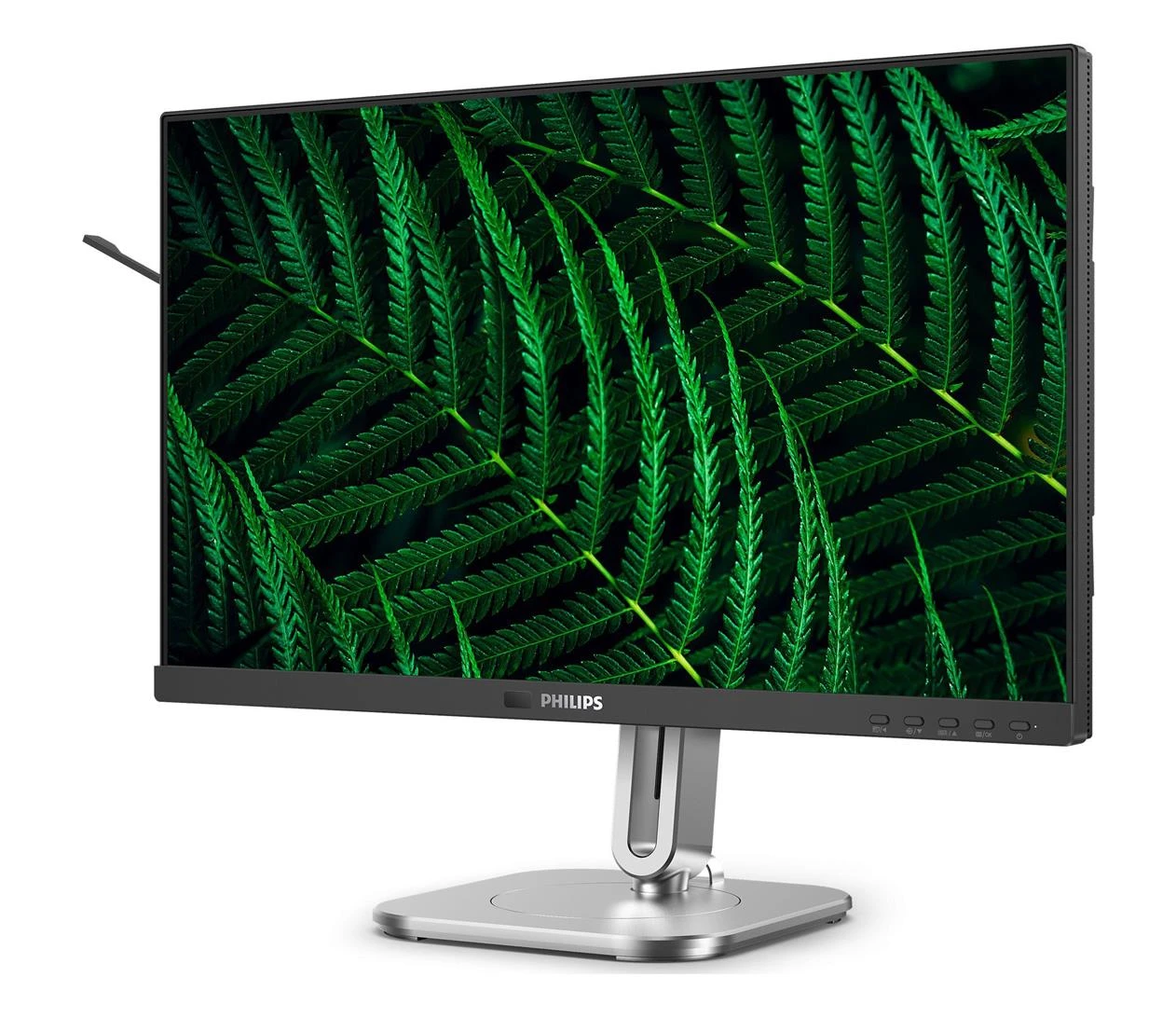 Philips 24B2G5301/00 (24B2G5301/00) EU Безрамочный монитор  нет