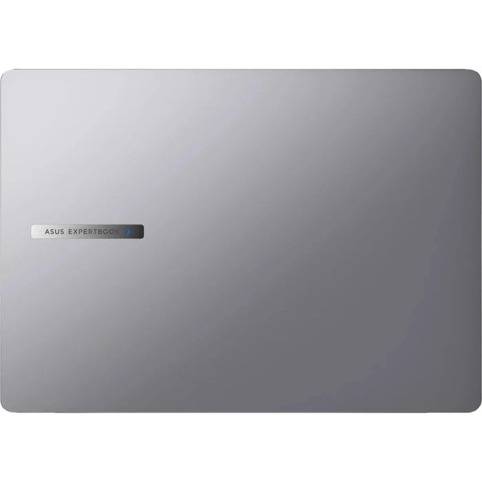 ASUS Expertbook P5405CSA-NZ0574X (90NX0861-M00RY0) (UA) Основные характеристики; Тип