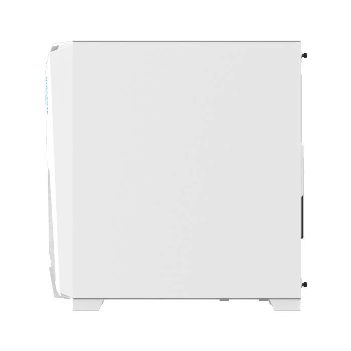 GIGABYTE C301GW V2 (UA)