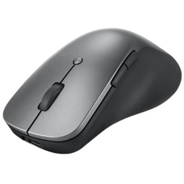 Lenovo Professional Bluetooth Rechargeable Grey (4Y51J62544) (UA)