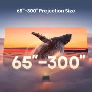 Hisense C2 (20015329) (UA)