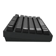 Dark Project ALU81 Terra Nova PBT RGB Mech G3MS Moonstone Black (DPKB_NOVA_81_ANSI_BLACK_UA) (UA)