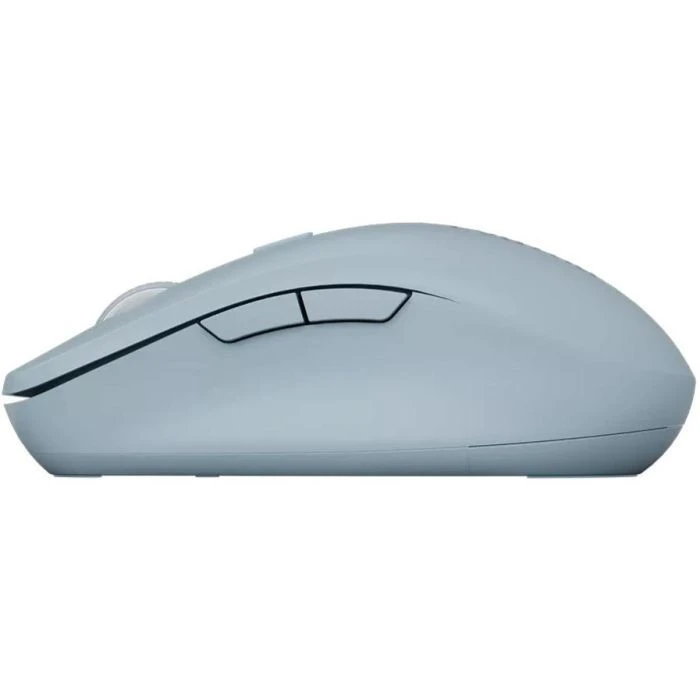 Canyon MW-12 Wireless/Bluetooth Blue (CNS-CMSW12BL) (UA) ; Назначение: для ноутбука;