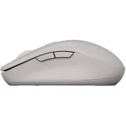 Canyon MW-12 Wireless/Bluetooth Grey (CNS-CMSW12DG) (UA)