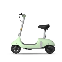 Електросамокат OKAI Ceetle PRO EA10C 10 900 Вт 10.4 Ah М'ятно-зелений (EA10C-MG) (UA) ; Максимальне навантаження: 100