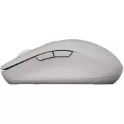 Canyon MW-12 Wireless/Bluetooth Grey (CNS-CMSW12DG) (UA)