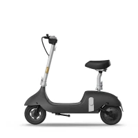 Электросамокат OKAI Ceetle PRO EA10C 10 900 Вт 10.4 Ah Black (EA10C-B) (UA) ; Максимальная нагрузка: 100 кг;