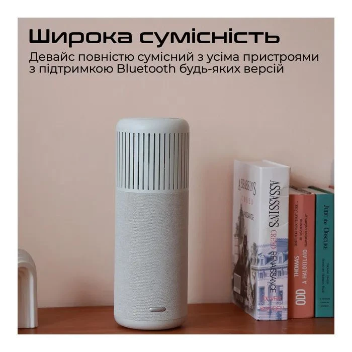 HiFuture Wedge Silver (wedge.silverwhite) (UA) ; Підключення: бездротове;