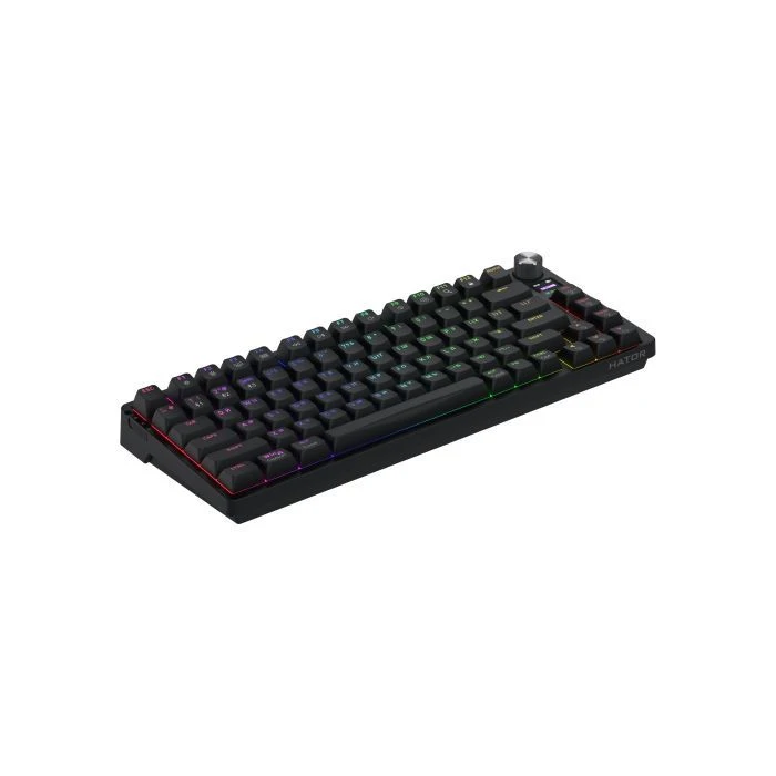 Hator Icefall Pro Wireless/Bluetooth/USB Black (HTK450UA) (UA)