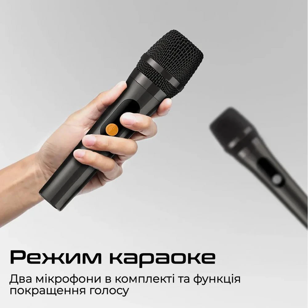 HiFuture MusicBox 100 Black (musicbox100.black) (UA) Бренд: HiFuture; Линейка: MusicBox;