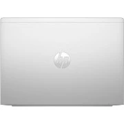 HP ProBook 445 G11 (8Z9P4AV_V5) (UA)