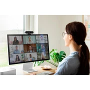 Sandberg Face-ID 2 HD 1080p Windows Hello USB-C/USB2.0 Black (134-40) (UA)