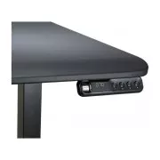 Cougar Royal 150 Elite Black (UA)