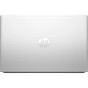 HP ProBook 455 G10 (719F5AV_ITM1) (UA)