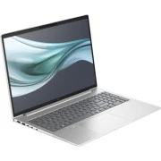 HP EliteBook 660 G11 Silver (9C075EA) (UA)