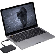 USB-C 4TB LaCie (STHZ4000800) (UA)