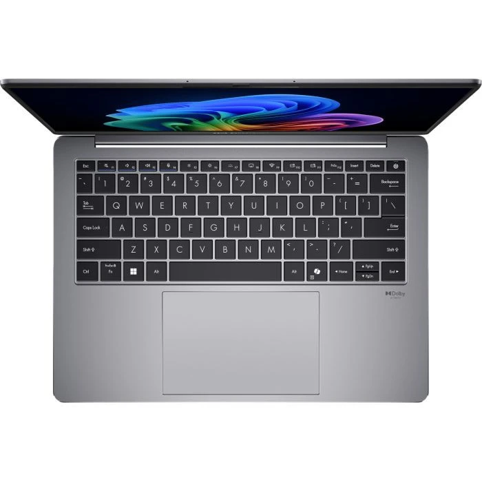 ASUS ExpertBook P5 P5405CSA-NZ0434 (90NX0861-M00XF0) (UA)