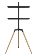 Gembird TVS-65S-01 (VESA600х400) (UA)