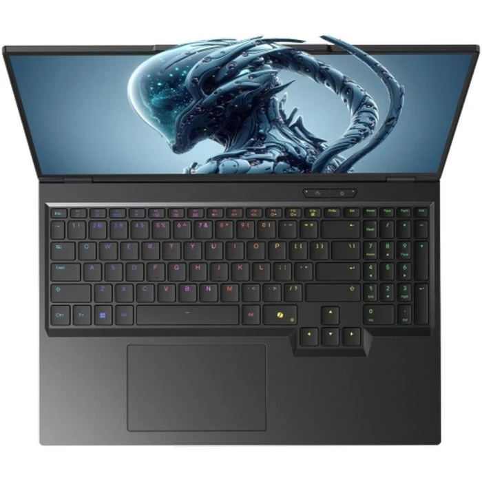 Dream Machines RX5090-16 (RX5090-16UA27) (UA) Дисплей; Разрешение: 2560x1600 (WQXGA);