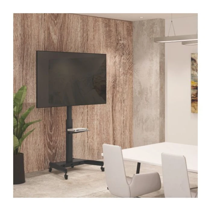 Стойка презентационная HiSmart HS081171 (UA) Основные характеристики; VESA: 200 x