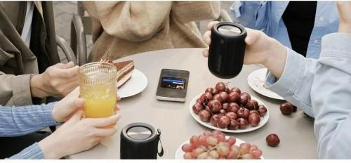 Xiaomi Bluetooth Mini (QBH4274GL) Бренд: Xiaomi; Установка: