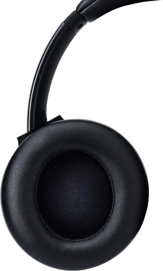 Навушники з мікрофоном Panasonic RB-M600BG-K (UA)