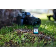 Kingston 256GB SDXC class 10 UHS-I U3 V30 Canvas Go Plus G4 (SDG4/256GB) (UA)