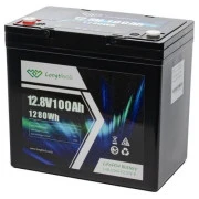 Longttech LiFePo4 12.8V 100 Ah (LAR12100-G22NF-P) (UA)