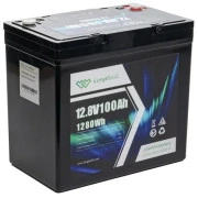 Longttech LiFePo4 12.8V 100 Ah (LAR12100-G22NF-P) (UA)