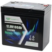 Longttech LiFePo4 12.8V 100 Ah (LAR12100-G22NF-P) (UA)