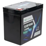 Longttech LiFePo4 12.8V 100 Ah (LAR12100-G22NF-P) (UA)