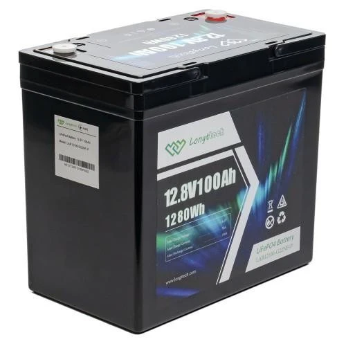 Longttech LiFePo4 12.8V 100 Ah (LAR12100-G22NF-P) (UA)