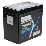 Longttech LiFePo4 12.8V 100 Ah (LAR12100-G22NF-P) (UA)