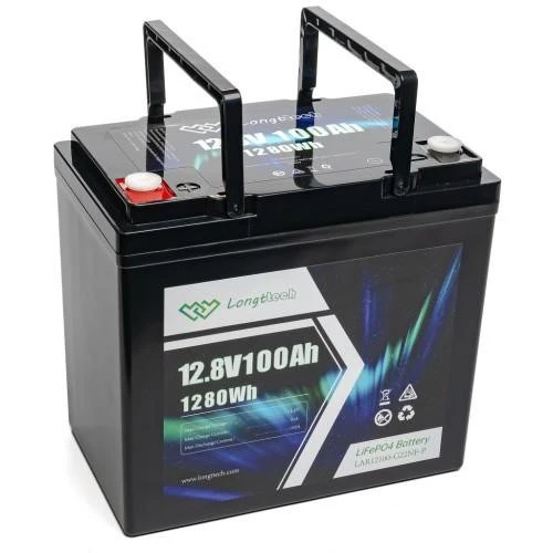 Longttech LiFePo4 12.8V 100 Ah (LAR12100-G22NF-P) (UA)