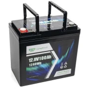 Longttech LiFePo4 12.8V 100 Ah (LAR12100-G22NF-P) (UA)