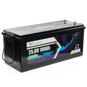 Longttech LiFePo4 24V 100 Ah (LAR24100-LT160-P) (UA)