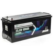 Longttech LiFePo4 24V 100 Ah (LAR24100-LT160-P) (UA)