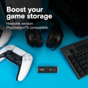 M.2 2280 1TB P310 with heatsink Micron (CT1000P310SSD5) (UA)