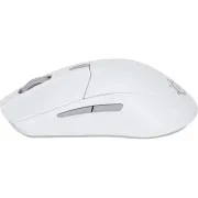 SteelSeries Rival 3 Gen 2 Wireless White (62524) (UA)